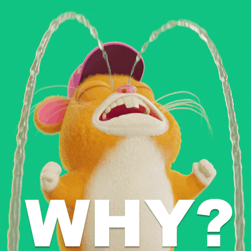 A Cartoon Hamster Is Crying With Water Coming Out Of Its Eyes And The Question Why Is Written Below It GIF