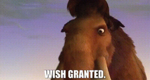 A Cartoon Horse With The Words `` Wish Granted '' Written On It . GIF