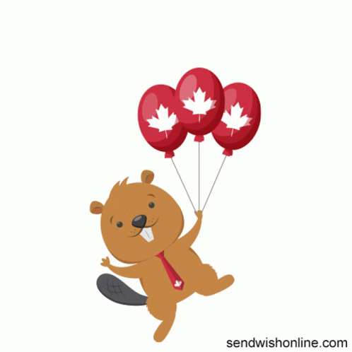 a cartoon illustration of a beaver holding three balloons with canadian leaves on them