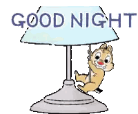 a cartoon illustration of a squirrel hanging from a lamp with the words good night written above it