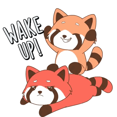 a cartoon illustration of two red pandas with the words wake up written above them