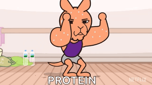 A Cartoon Kangaroo Is Squatting Down With The Word Protein Written Below Him GIF