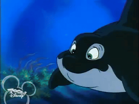 A Cartoon Killer Whale From Toon Disney Is Swimming In The Ocean GIF