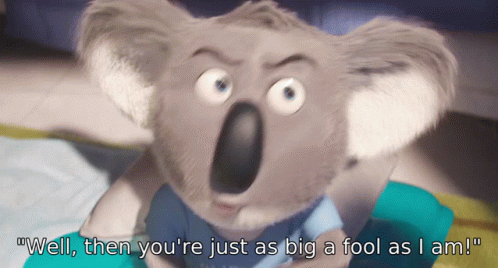 A Cartoon Koala Bear Says " Well Then You Re Just As Big A Fool As I Am " GIF