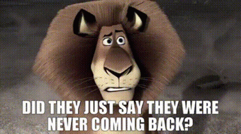Cartoon Lion Asking They Were Never Coming Back GIF