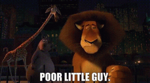 A Cartoon Lion With The Words `` Poor Little Guy '' Written On It GIF