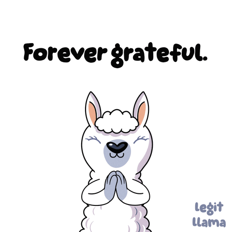 A Cartoon Llama Says " Forever Grateful " With Its Hands Folded In Prayer GIF