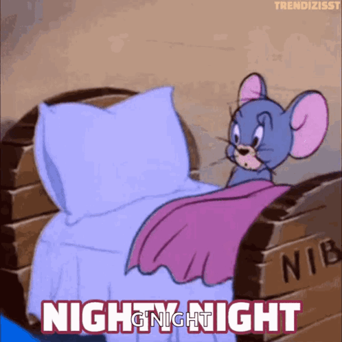 A Cartoon Mouse Is Laying In A Bed With The Words Nighty Night Above Him GIF