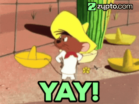 A Cartoon Mouse With A Sombrero And The Word Yay GIF