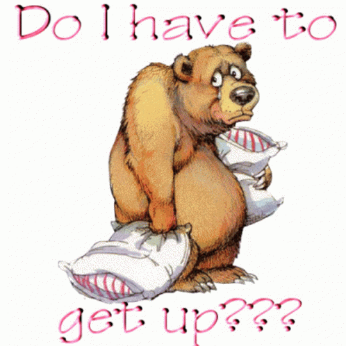 A Cartoon Of A Bear Holding Two Pillows With The Words Do I Have To Get Up GIF