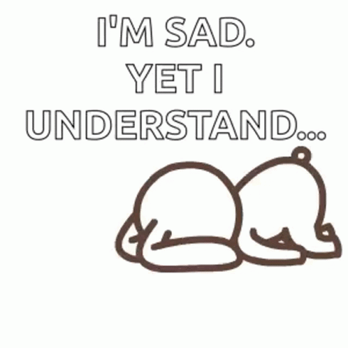 A Cartoon Of A Bear Laying Down With The Words `` I 'M Sad , Yet I Understand . '' GIF