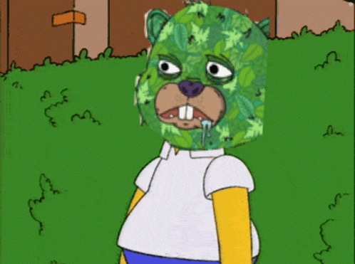 A Cartoon Of A Bear Wearing A Camouflage Mask GIF