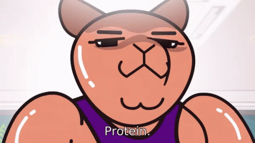 A Cartoon Of A Bear With A Purple Shirt That Says " Protein " GIF