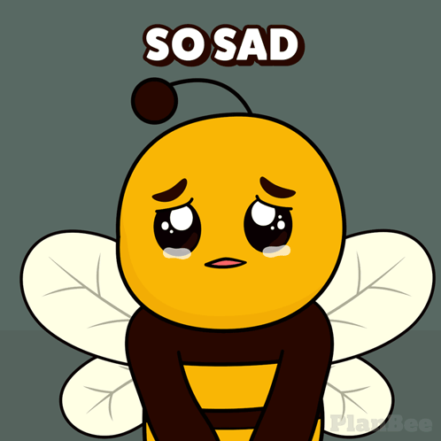 A Cartoon Of A Bee With The Words So Sad Written Above It GIF