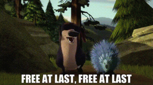 A Cartoon Of A Bird And A Porcupine With The Words `` Free At Last , Free At Last '' . GIF