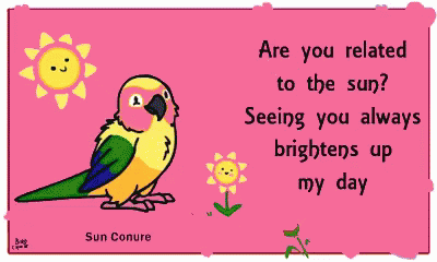 A Cartoon Of A Bird With The Words " Are You Related To The Sun Seeing You Always Brightens Up My Day " Below It GIF