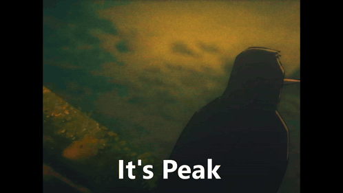 A Cartoon Of A Bird With The Words It 'S Peak Below It GIF