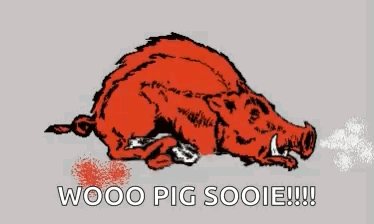 A Cartoon Of A Boar With The Words Wooo Pig Sooie Written Below It GIF