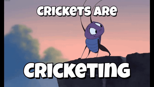 A Cartoon Of A Bug On A Cliff With The Words Crickets Are Cricketing Below It GIF