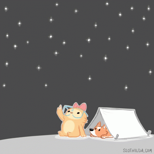 A Cartoon Of A Cat And A Dog In A Tent With Slothilda.com In The Bottom Right Corner GIF