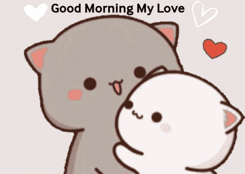 a cartoon of a cat hugging another cat with the words good morning my love below it