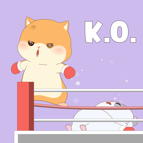 A Cartoon Of A Cat In Boxing Gloves And The Word K.o. GIF