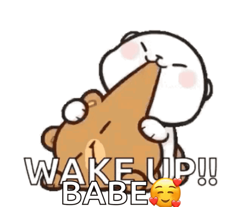 A Cartoon Of A Cat Kissing A Teddy Bear With The Words Wake Up Babe Written Above It GIF