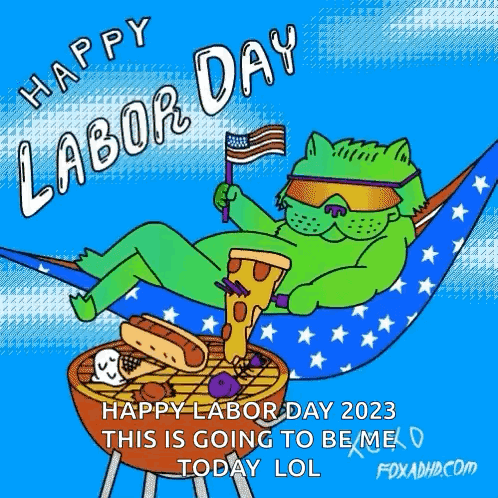 A Cartoon Of A Cat Laying In A Hammock Holding A Pizza And A Flag . GIF