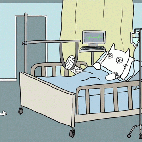 A Cartoon Of A Cat Laying In A Hospital Bed With A Broken Leg GIF
