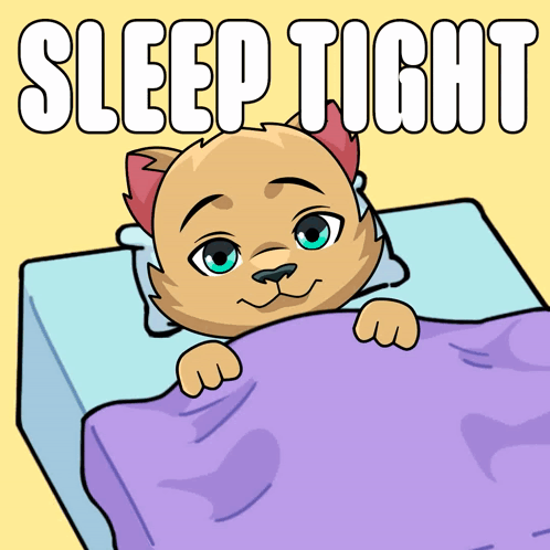 A Cartoon Of A Cat Laying In Bed With The Words Sleep Tight Below It GIF