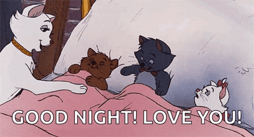 A Cartoon Of A Cat Laying On A Bed With The Words " Good Night ! Love You ! " GIF