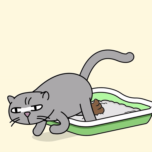 A Cartoon Of A Cat Looking At A Litter Box With The Words Job Done Written Above It GIF