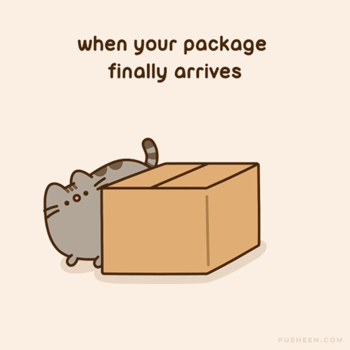 a cartoon of a cat peeking out of a cardboard box with the words " when your package finally arrives " below it