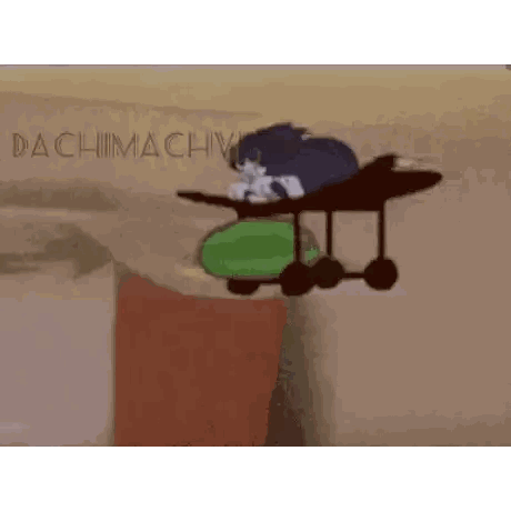 a cartoon of a cat riding a plane with the words dachimachy in the bottom right corner