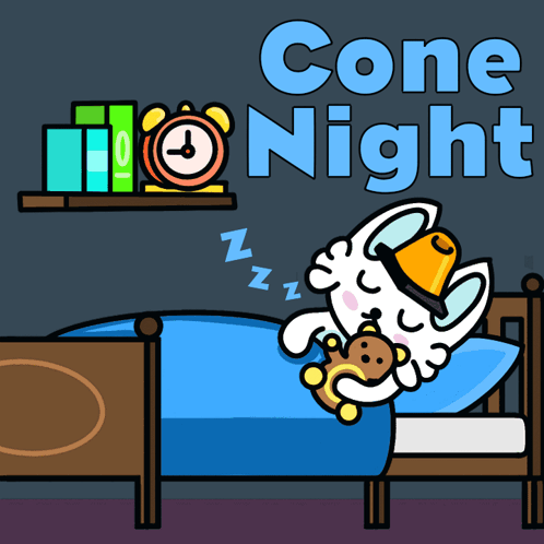 A Cartoon Of A Cat Sleeping In A Bed With The Words " Cone Night " Above It GIF