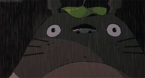 A Cartoon Of A Cat With A Green Leaf On Its Head With The Words Parisnotfrance Below It GIF
