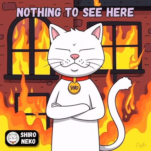 A Cartoon Of A Cat With A Tag That Says Shiro GIF