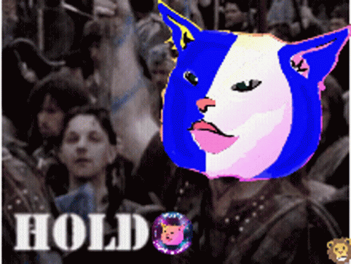 A Cartoon Of A Cat With The Word Hold In The Corner GIF