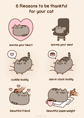 A Cartoon Of A Cat With The Words " 6 Reasons To Be Thankful For Your Cat " At The Top GIF
