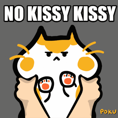 A Cartoon Of A Cat With The Words No Kissy Kissy GIF