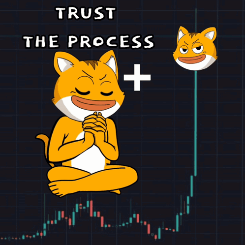 A Cartoon Of A Cat With The Words Trust The Process Written Above It GIF