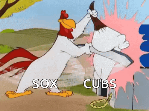 A Cartoon Of A Chicken And A Bear Fighting With The Words Sox Cubs Written On The Bottom GIF