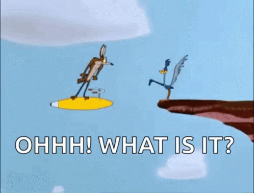 A Cartoon Of A Coyote And A Bird Flying Over A Cliff With The Words `` What Is It '' . GIF