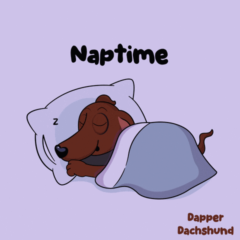 A Cartoon Of A Dachshund Sleeping Under A Blanket With The Words Naptime Above It GIF