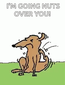 A Cartoon Of A Deer With Nuts On Its Head And The Words `` I 'M Going Nuts Over You ! '' GIF