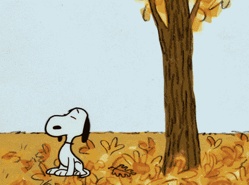A Cartoon Of A Dog Playing With Leaves GIF