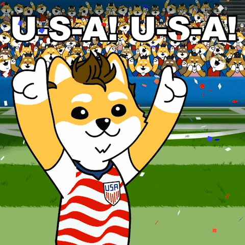 a cartoon of a dog wearing an usa jersey