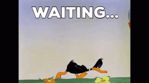 A Cartoon Of A Duck Walking With The Words Waiting Behind It GIF