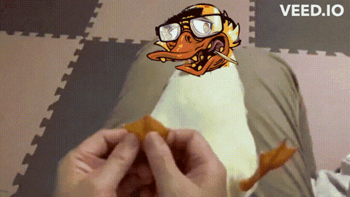 A Cartoon Of A Duck With Glasses And A Cigarette In Its Mouth Is Being Held By A Person GIF
