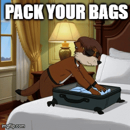 A Cartoon Of A Fox Packing A Suitcase With The Words Pack Your Bags GIF